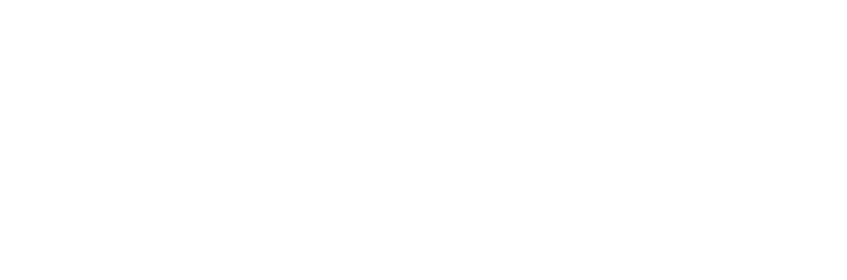 logo pppro blanc